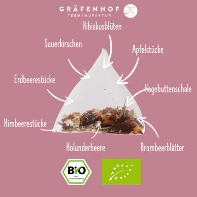 bio Bosbessenmix Thee, 15 piramidezakjes