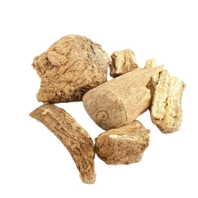 Costus Wortel - Udu Hindi Tuana Shop