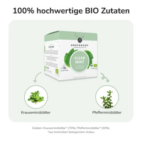 BIO Heldere Munt Thee, 15 piramidezakjes