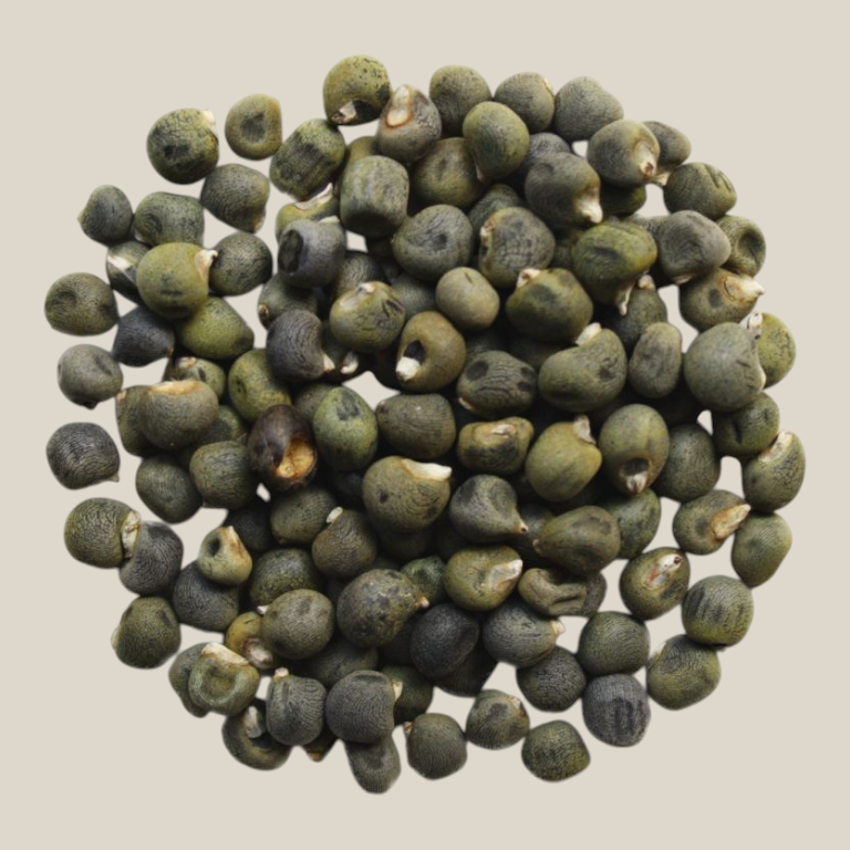 TuanaShop BV gedroogde okra zaden voor thee of consumptie, kleine ronde groene zaden op een witte achtergrond.