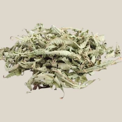 GEURIG IJZERHARD -VERVEINE 20gram.