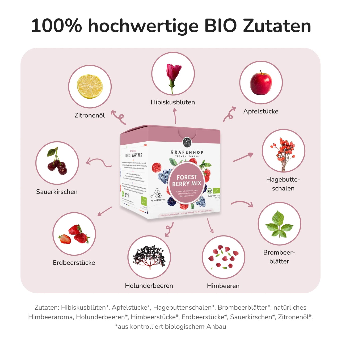 bio Bosbessenmix Thee, 15 piramidezakjes